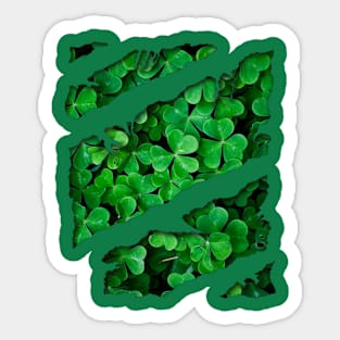 State Patty's Day - Irish Shamrock Ireland Sticker